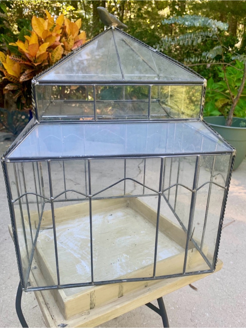 Glass Terrarium with Metal Frame - Clear Glass